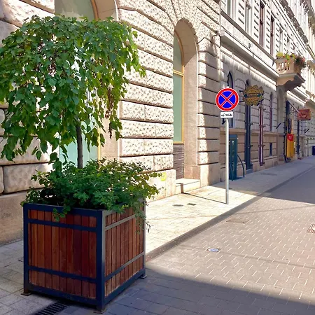 Paulay Design * Будапешт