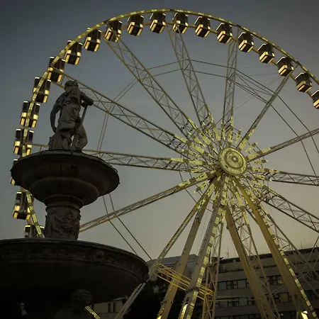 Paulay Design بودابست